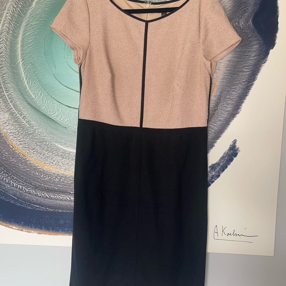 Elegant Two-Tone Dress